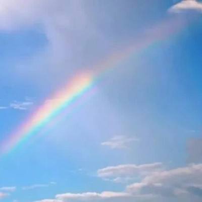 Bet体育365下载截图